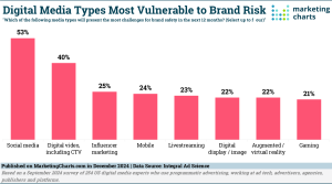 Digital Media Experts See Social Media As A Top Priority – and Risk – This Year